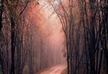 罗马诺：皇马准备与21岁中卫阿森西奥加薪续约.