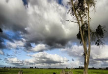 中国羽球大师赛骆建佑止步首轮 男女单头号种子晋级.
