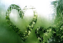 九游官网：浓眉缺阵詹姆斯空砍39+7+6 湖人不敌灰熊2连败.