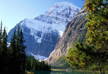 九游官网：[澳网]王欣瑜／郑赛赛无缘女双八强.